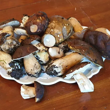 Cap Corse-santa Severa, Grande Vista Mare Lejlighed *