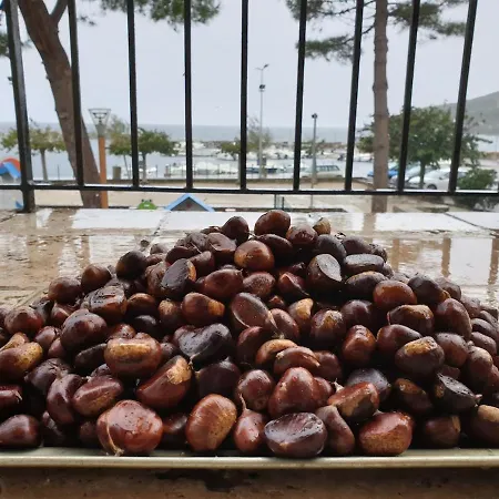 Apartment Cap Corse-santa Severa, Grande Vista Mare *