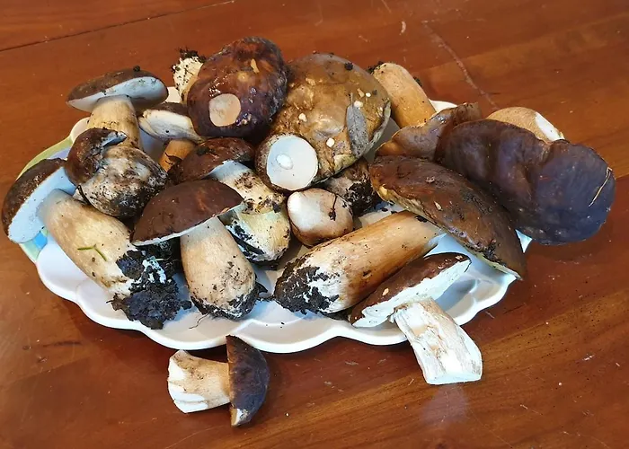 Cap Corse-santa Severa, Grande Vista Mare Apartmán *